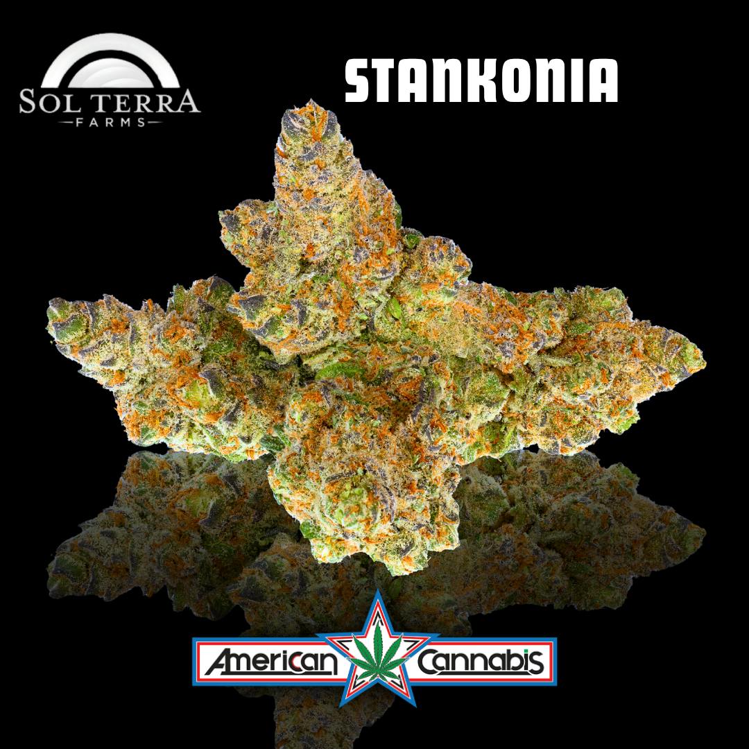 [Flower] Sol Terra Stankonia 14g [Hybrid]