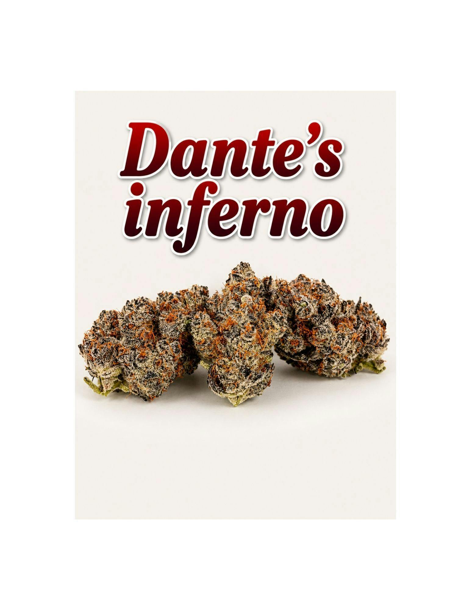 Dante's Inferno Indica - Deli Style