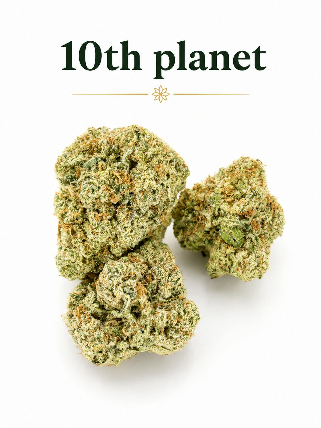 10th Planet Hybrid - Deli Style