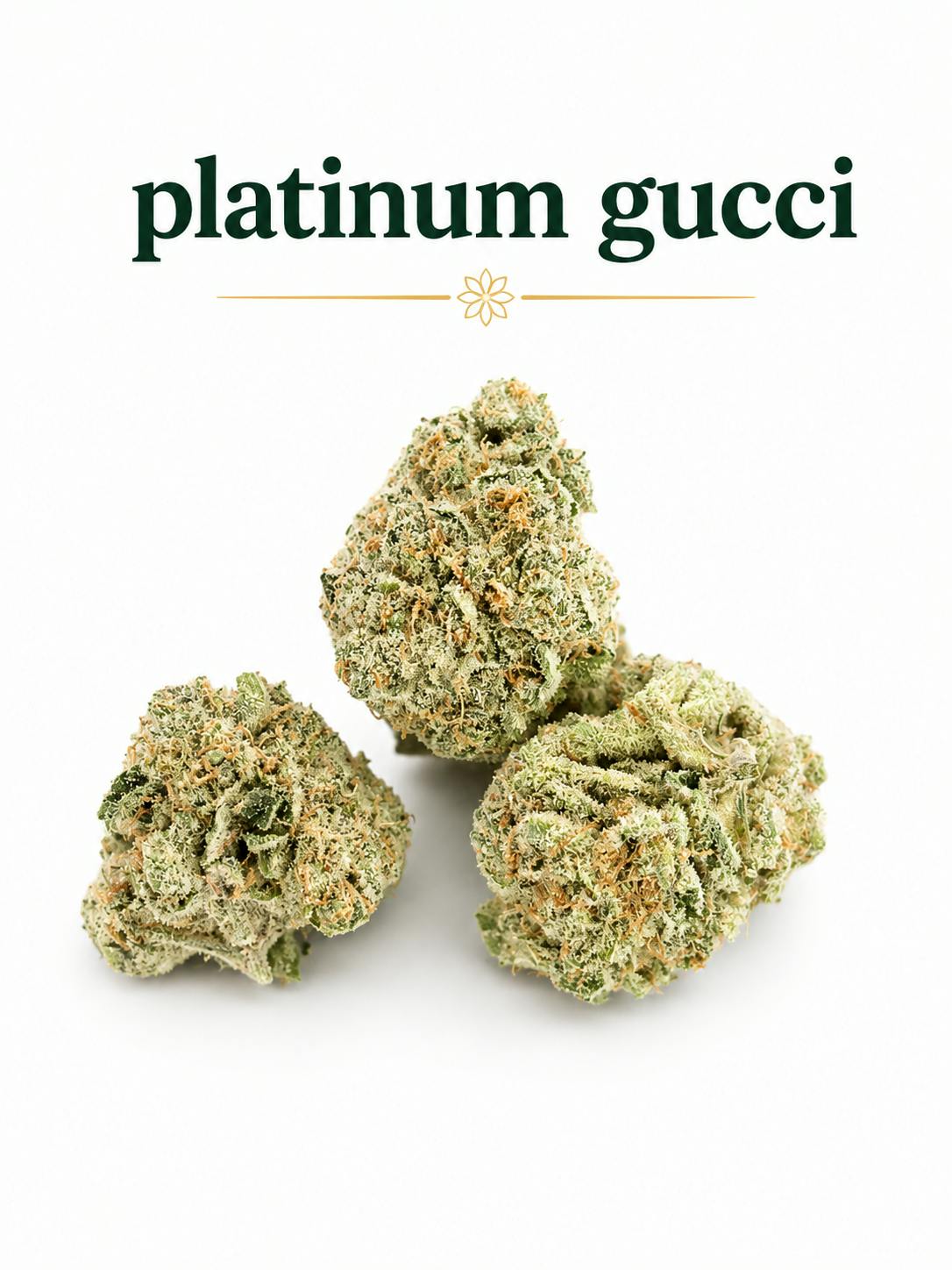 Platinum Gucci Hybrid - Deli Style