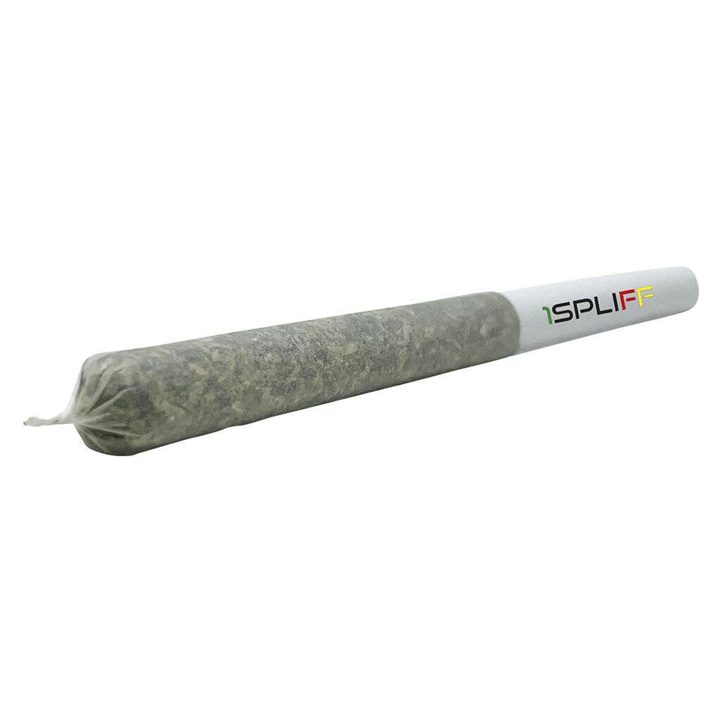 1Spliff - Orange Rntz Pre-Rolls - 10x0.35g