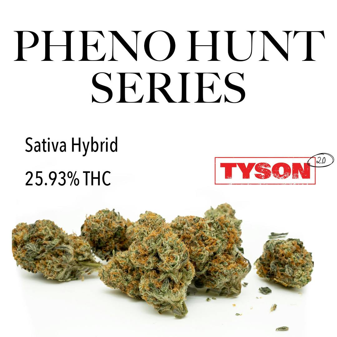 3.5g Pheno Hunt Series