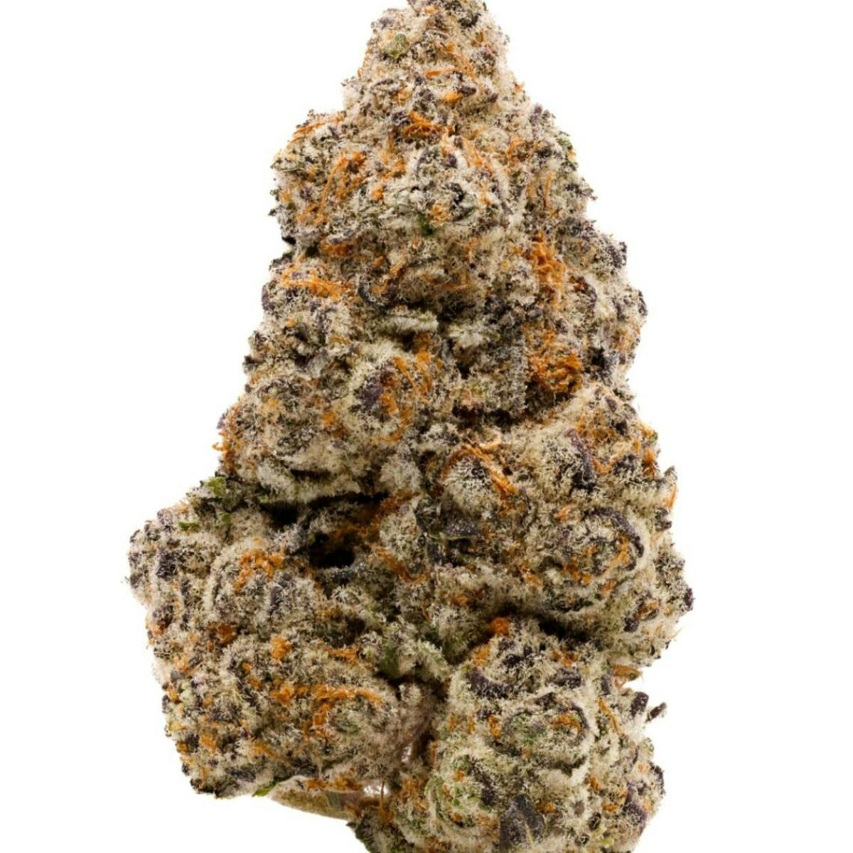 7G SLURRICANE TIER 2 POPCORN