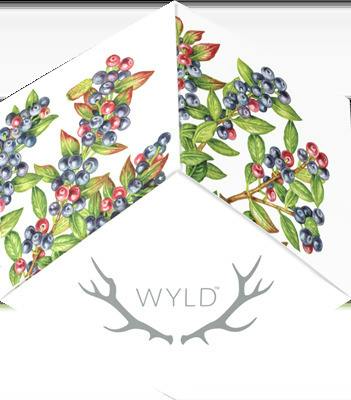 Huckleberry Hybrid 300mg Gummies - Wyld
