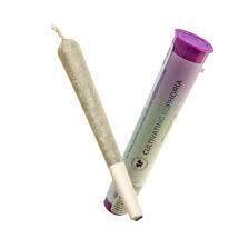 Mad Honey Pre-Roll