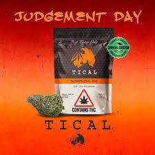 Judgement Day