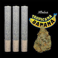 Tropicana Banana Pre-Roll 3g 3pk