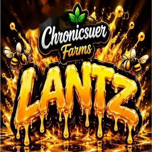Chronicsuer Farms - Lantz - Buds