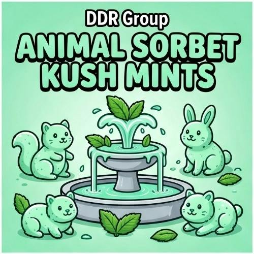 DDR Group - Animal Sorbet Kush Mints - Buds