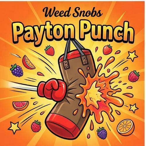 Weed Snobs - Payton Punch - Buds