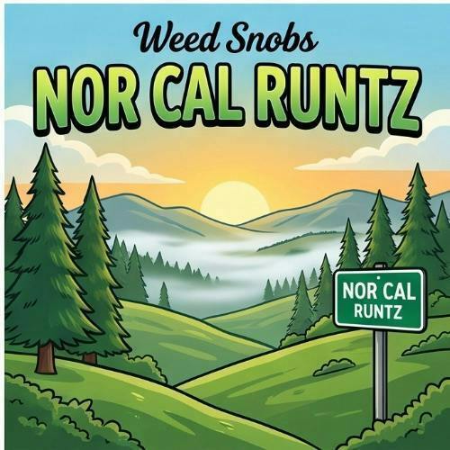 Weed Snobs - Nor Cal Runtz - Buds