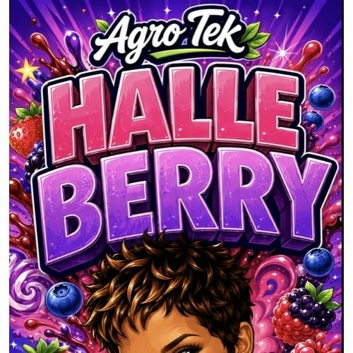 Agro Tek - Halle Berry #1 - Buds