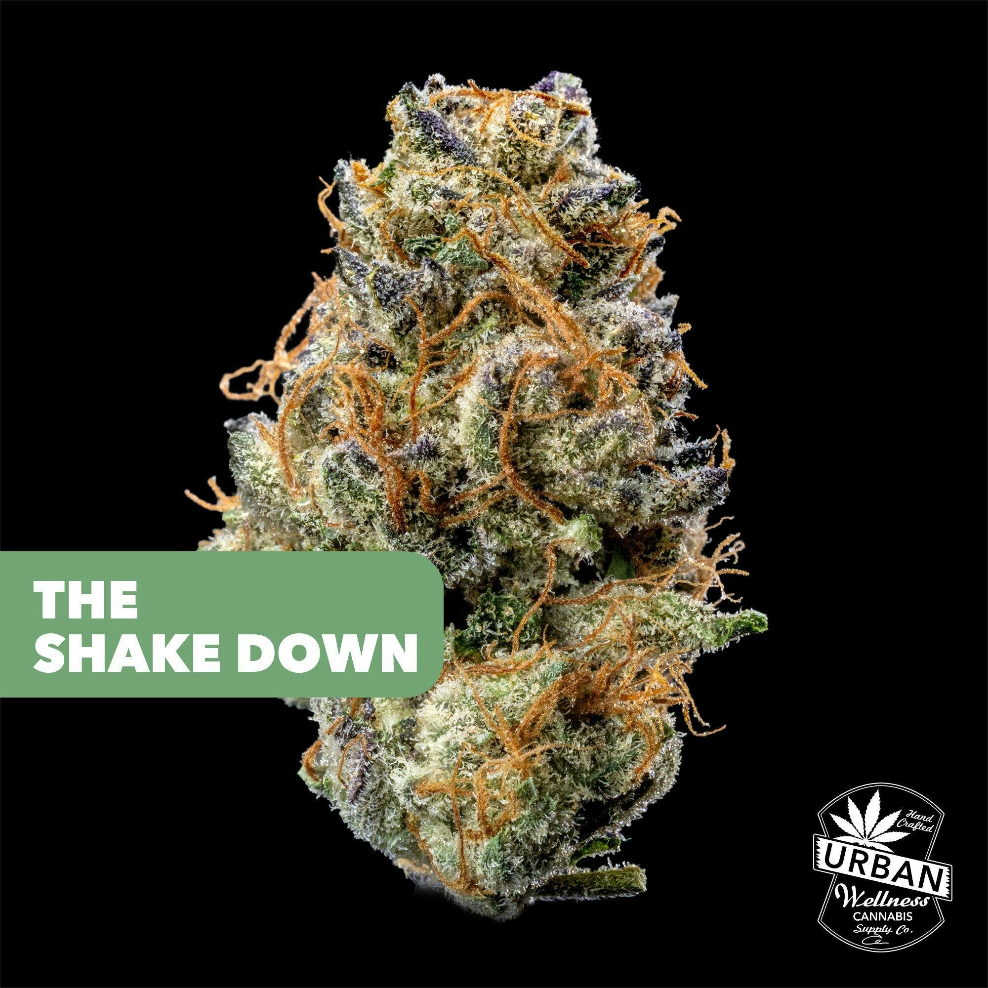 The Shake Down | Urban Wellness