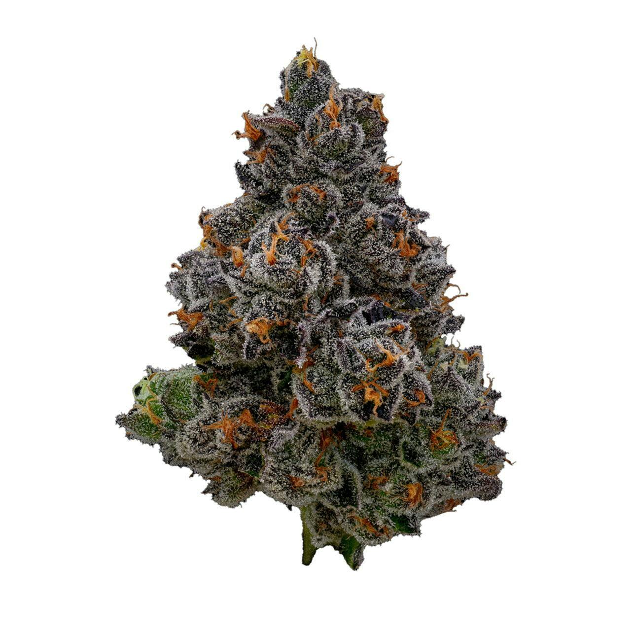 GDF - Flower - Buds - Gaschata 1 - Hybrid - 3.5G