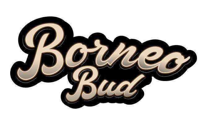 Borneo Astronaut Status