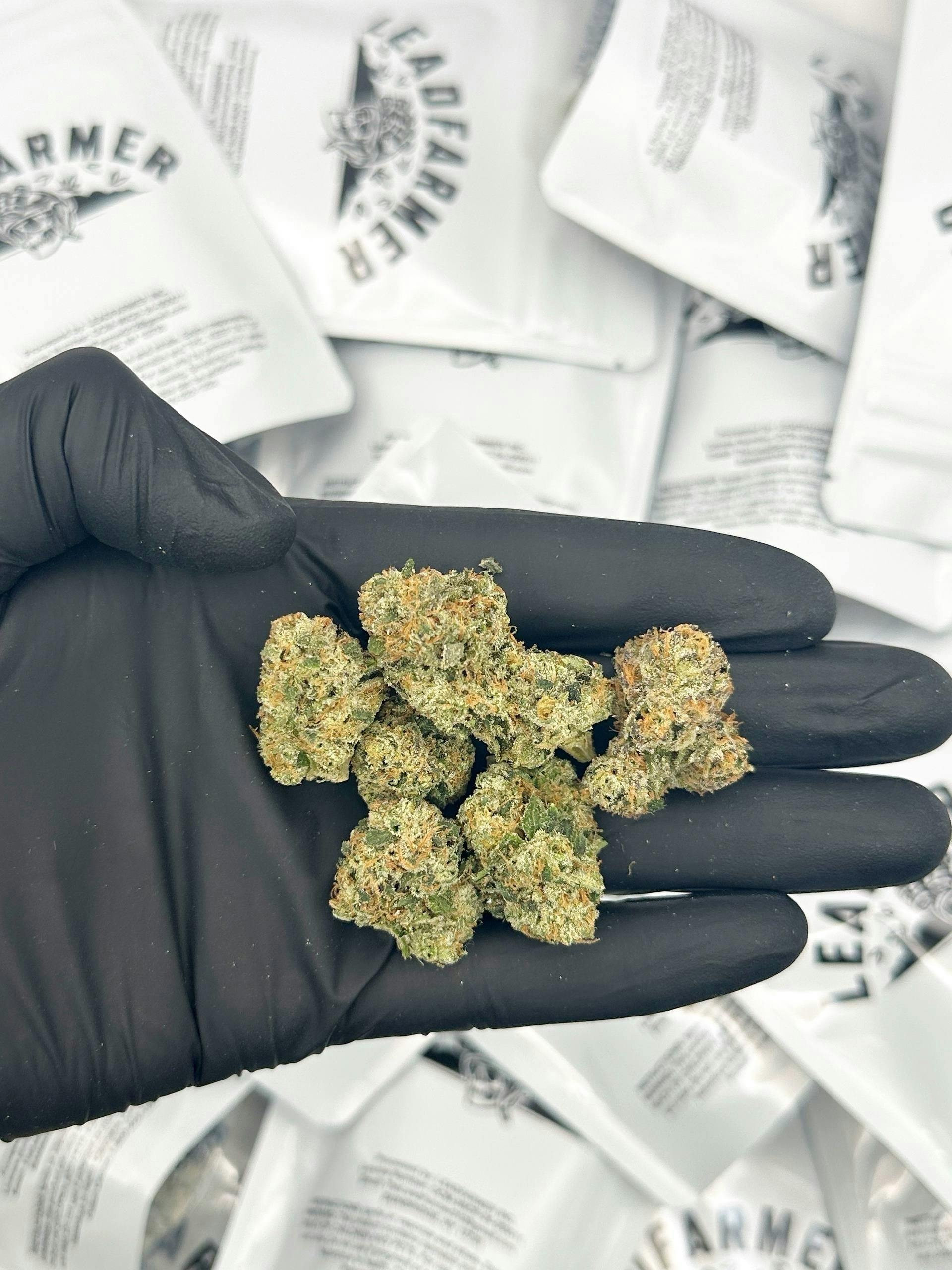 Lead Farmer - Galactic Warheads - Flower