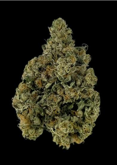 6 Point Cannabis - Gastopia - Flower