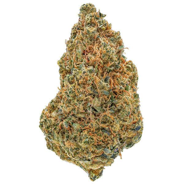 Cultured - Citrus Haze - Flower