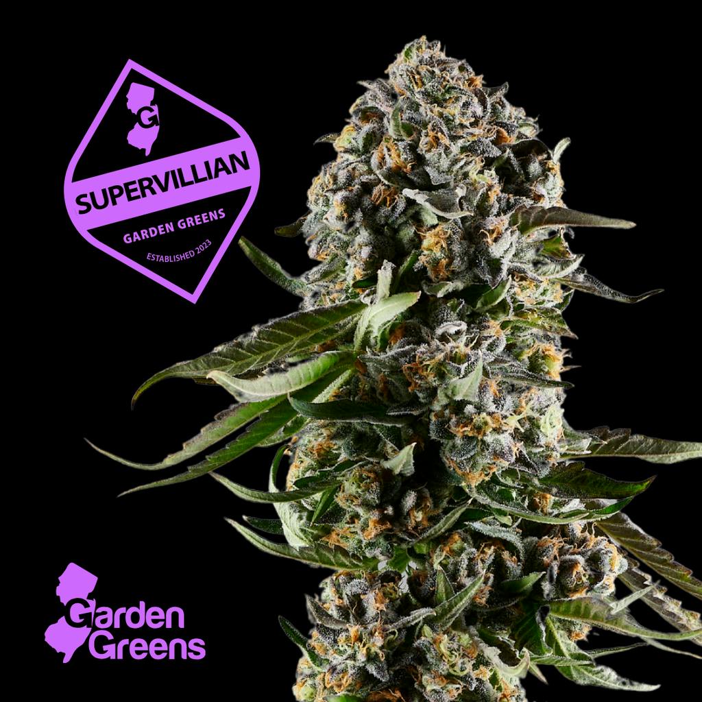 Garden Greens Super Villain Flower 3.5g