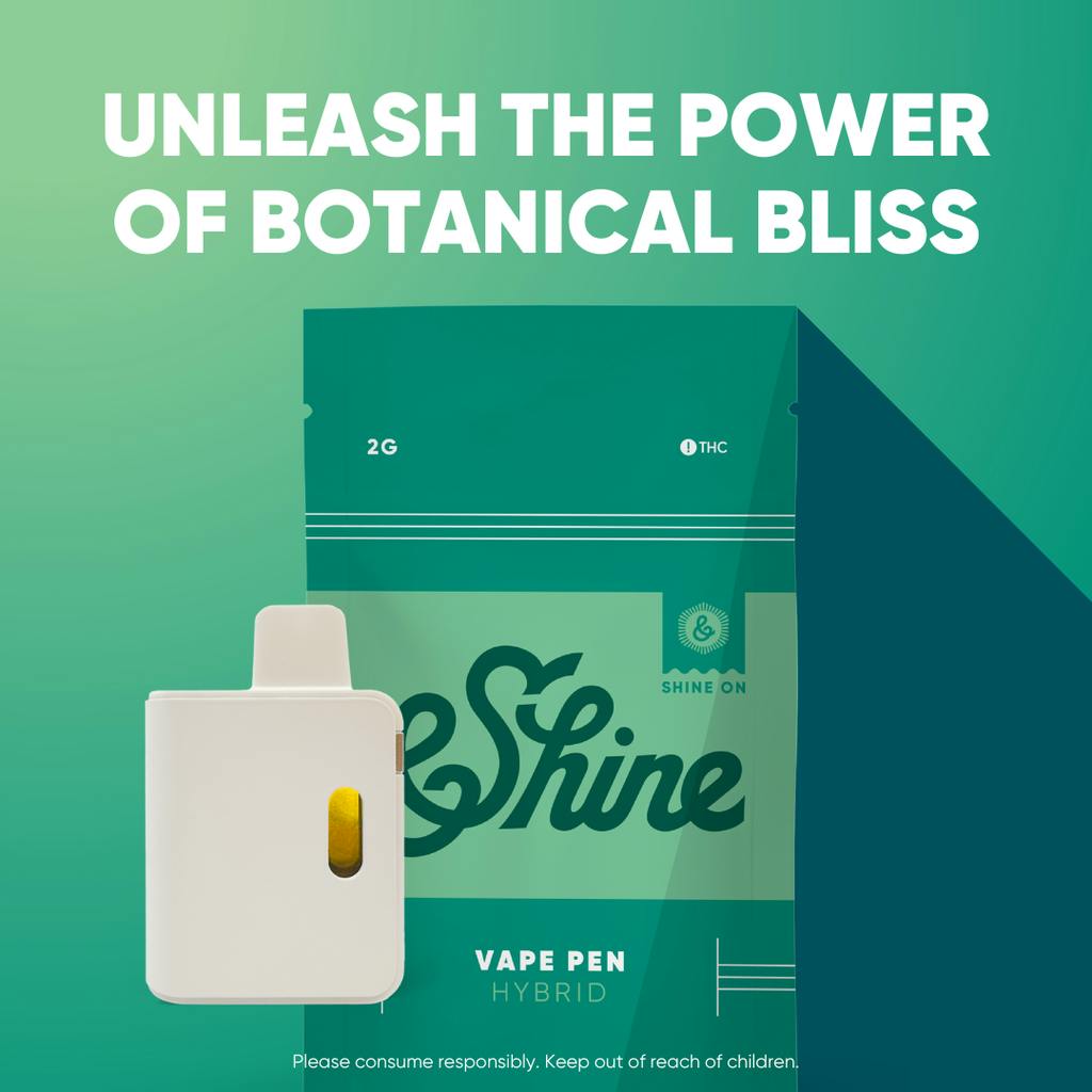&Shine Biscotti Disposable 2g