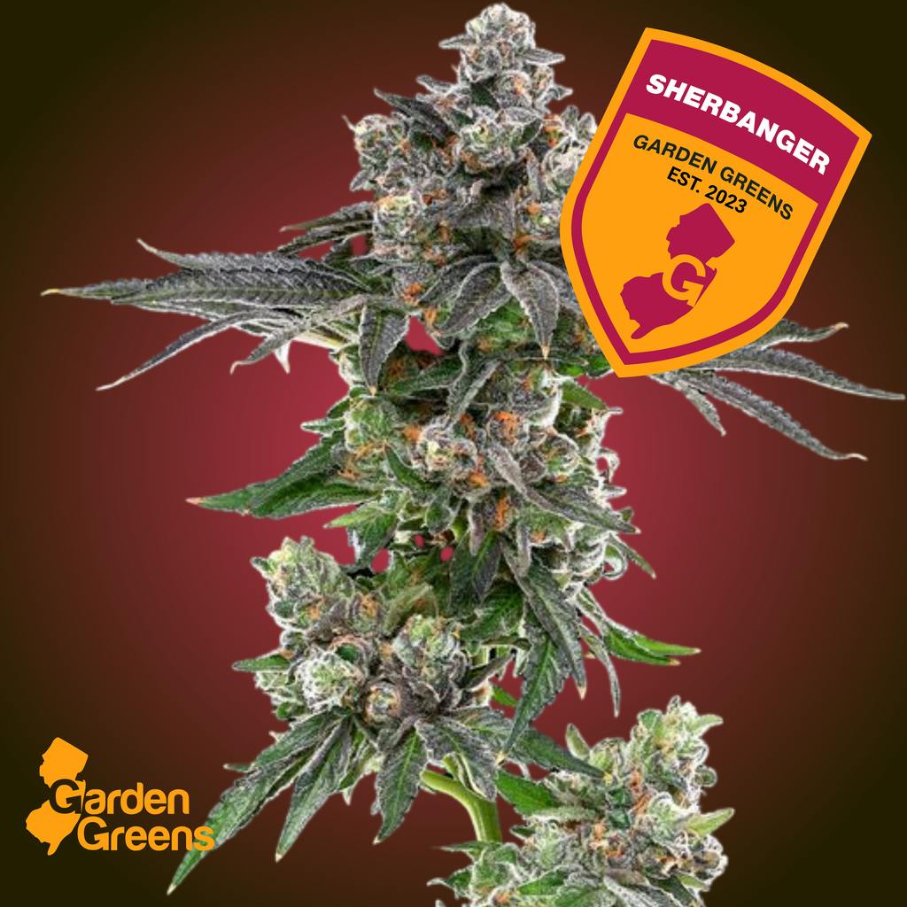 Garden Greens Sherbanger Flower 3.5g