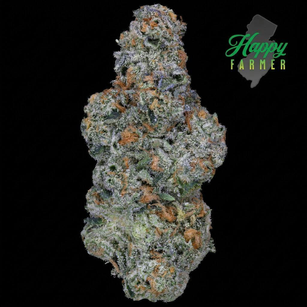 Happy Farmer Gunpowder Milkshake Flower 7g