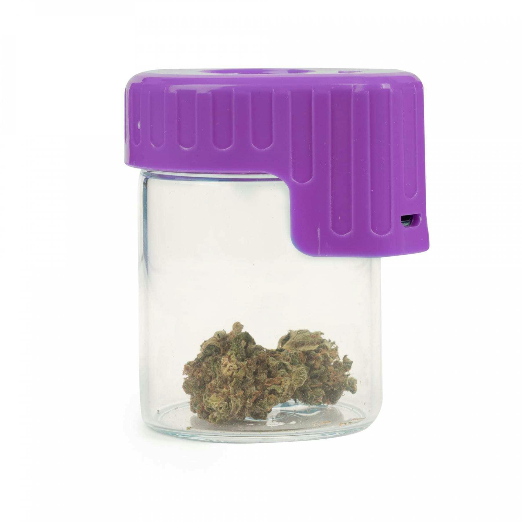 Light-Up Glass Seal Storage Jar - Purple