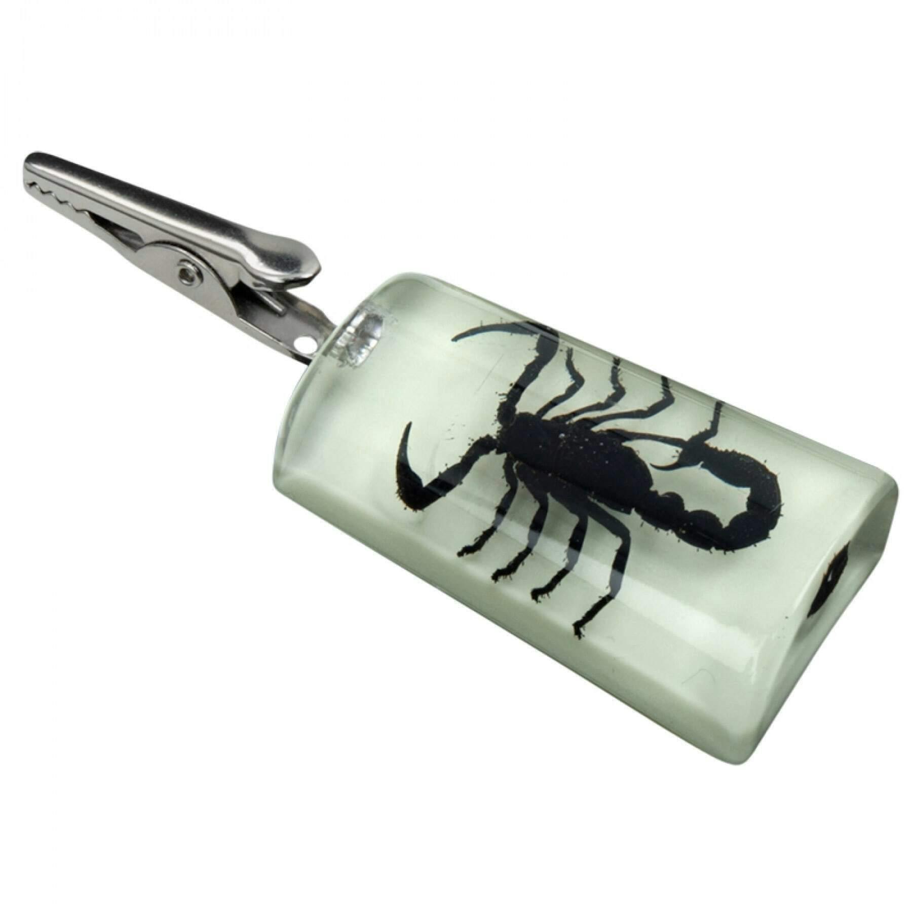Glow in the dark Stand up Black Scorpion