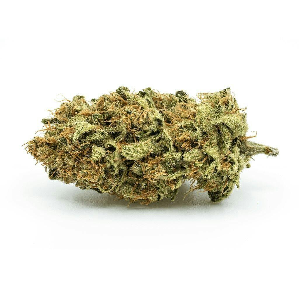 Redecan - Outlaw - Sativa - 7g