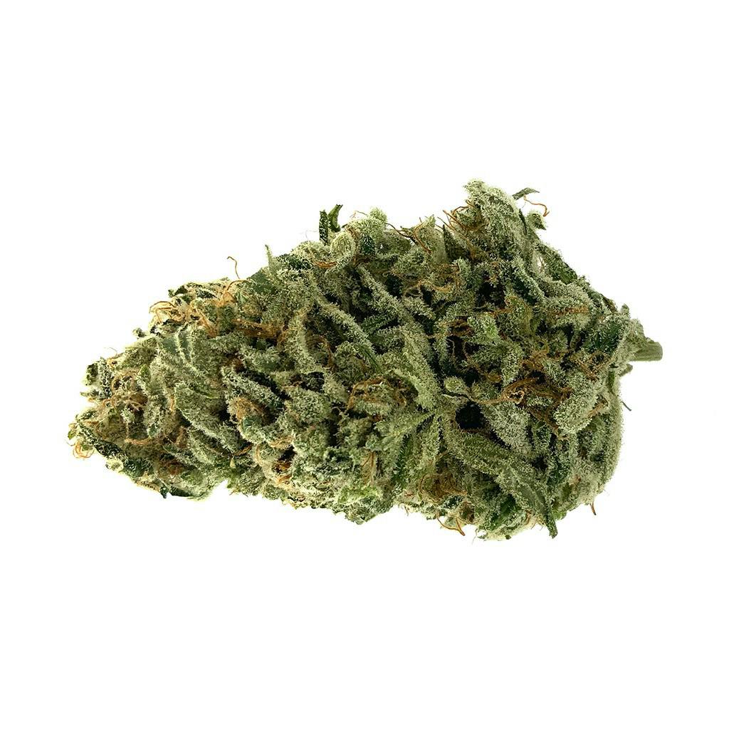 LowKey by MTL Cannabis - Haze - Hybrid - 3.5g