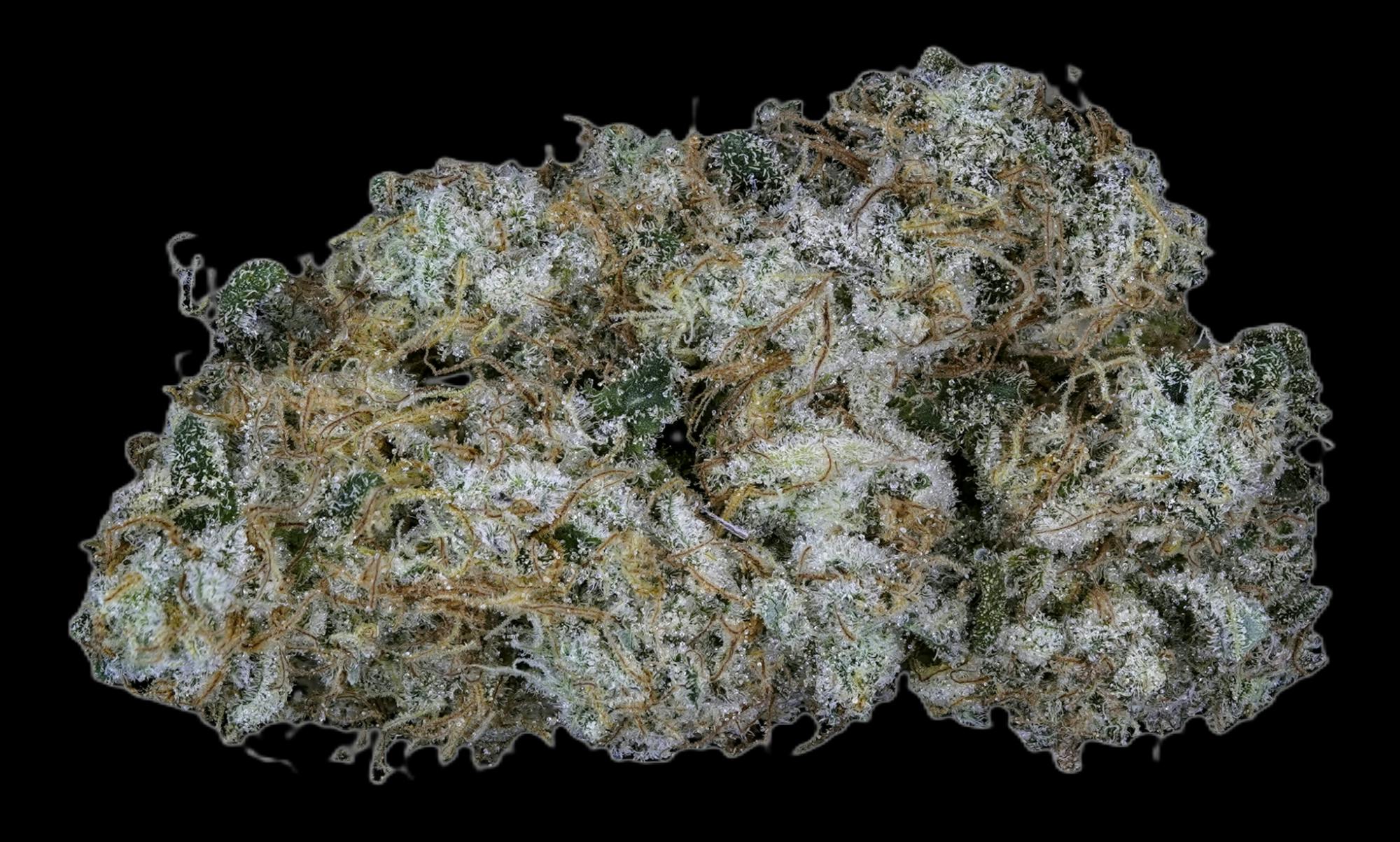 Cheesecake Bulk Flower