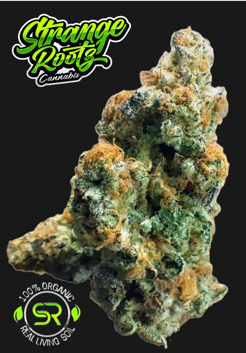 Truffle Treats (Buds)