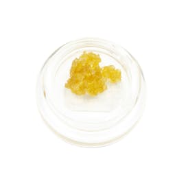 Sugar: Sour Amnesia Haze [Gold]