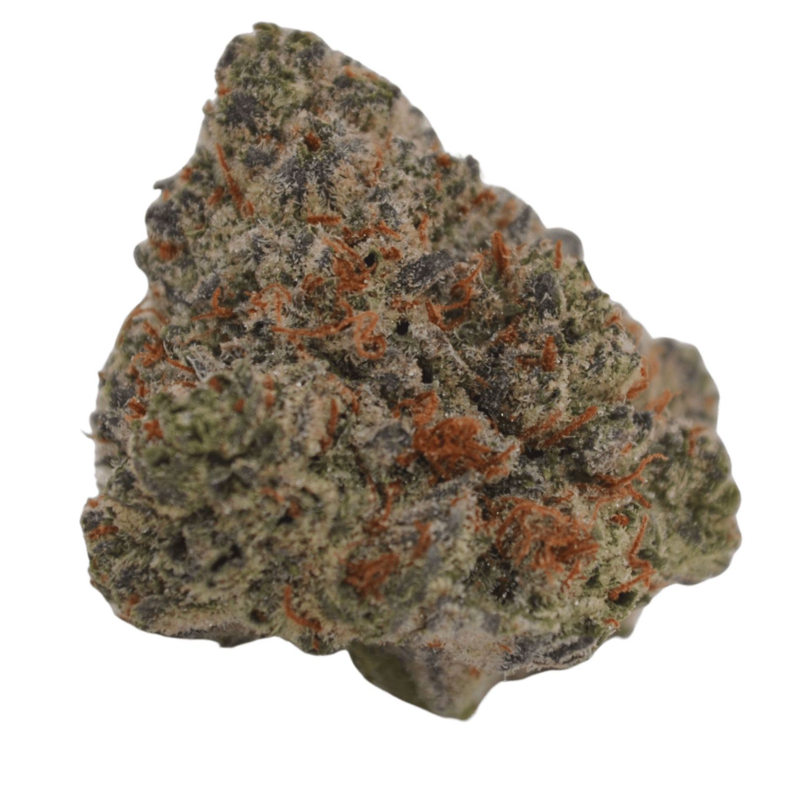 Black Orchid cannabis product