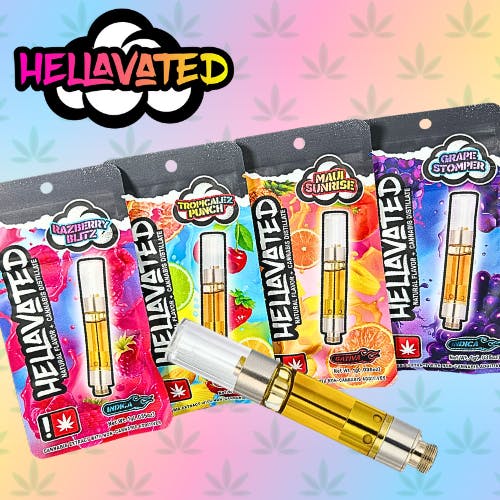 Hellavated: Profilez - Maui Sunrise