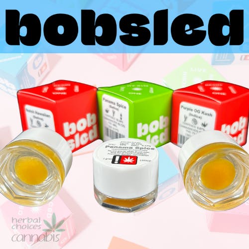 Bobsled: Dutch Hawaiian