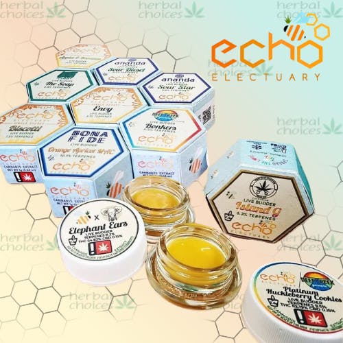 Echo Electuary: Ginger Tea