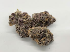 Black Cherry Punch Bulk Flower By Blossom (Taxes Included, OTD Pricing)