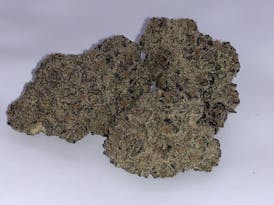 Purple Milk Bulk Flower By Blossom (Taxes Included, OTD Pricing)
