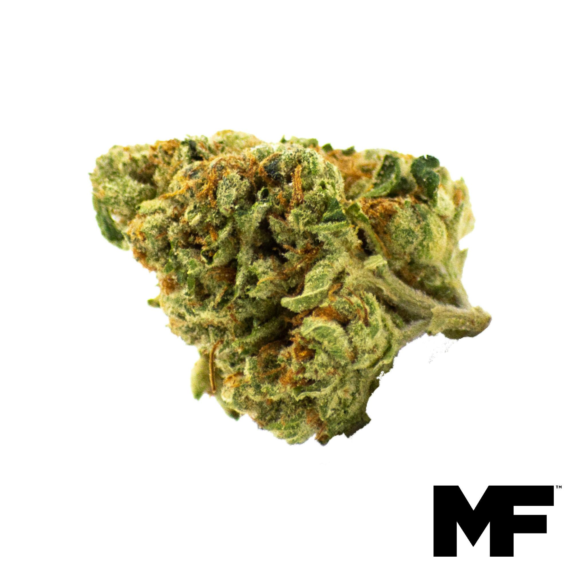 Motor Breath Flower at Trulieve Cottonwood Dispensary