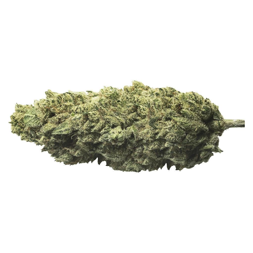 Skywalker Haze