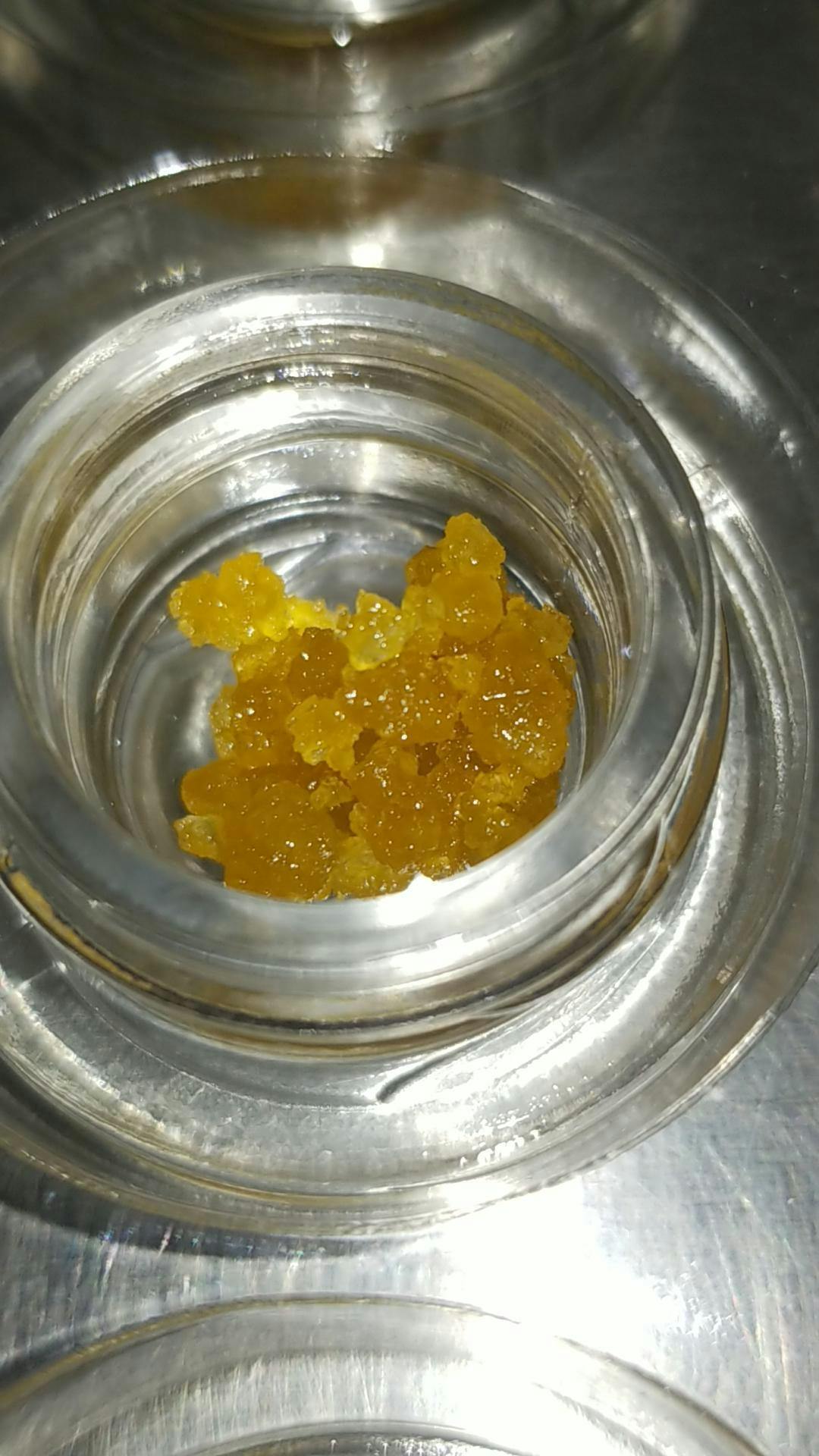 Live Resin 1g | Covert Extraction Gary Payton
