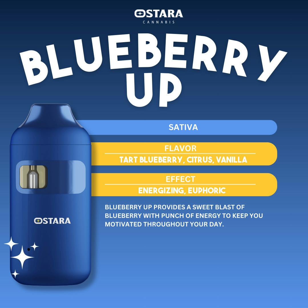 Disposable 1g | Ostara Blueberry UP