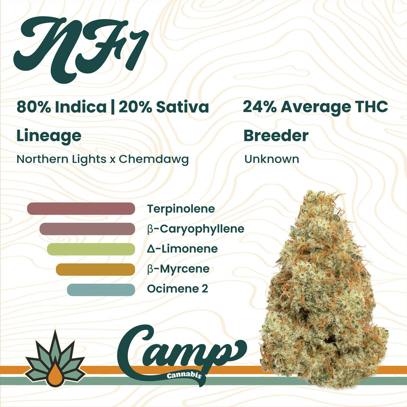 Pre-Roll Pack 5pk | CAMP Cannabis NF1 0.5g ea