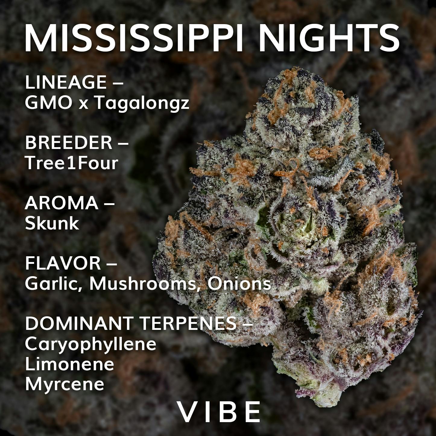 Shake 14g | Vibe Missippi Nights #72