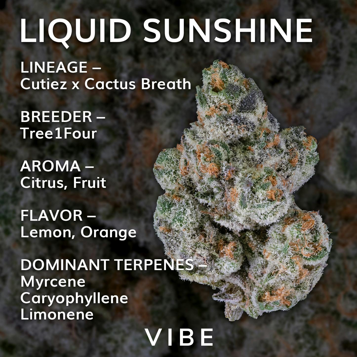 Popcorn 7g | Vibe Liquid Sunshine