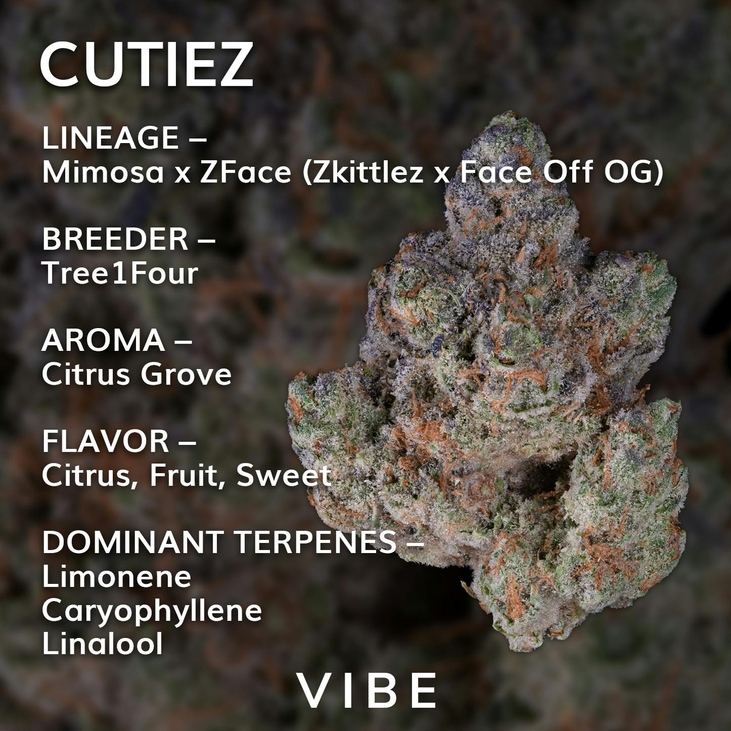 Popcorn 7g | Vibe Cutiez