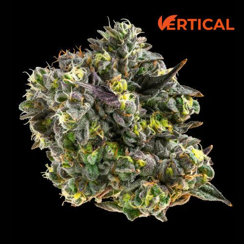 3.5g | Vertical Gush Mints
