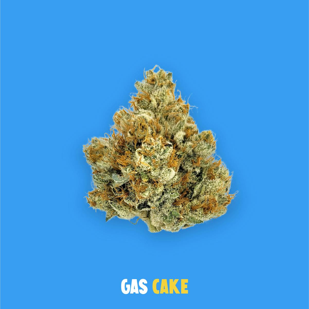 Popcorn 14g | Buoyant Bob's Gas Cake