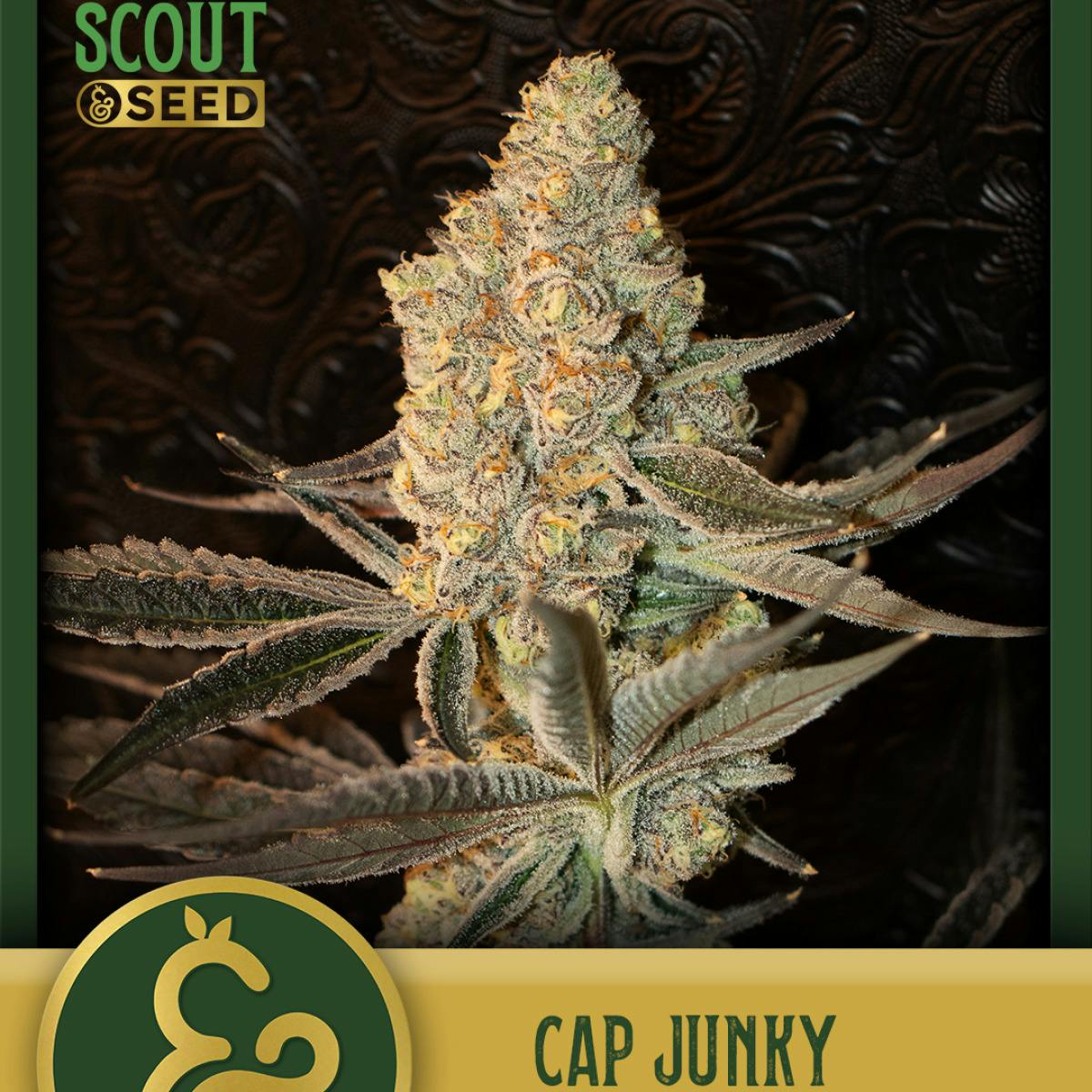 3.5g | Scout & Seed Cap Junky